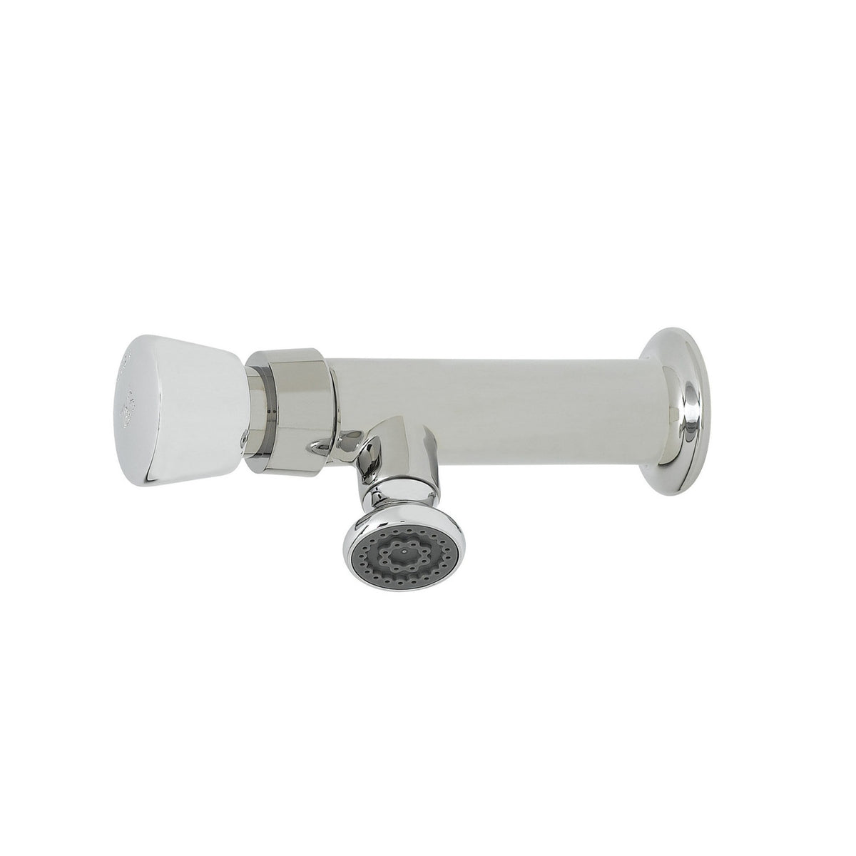 T&S Brass Chrome Brass Wall Mount Metering Faucet NSF, 1/2" NPT - B-0800