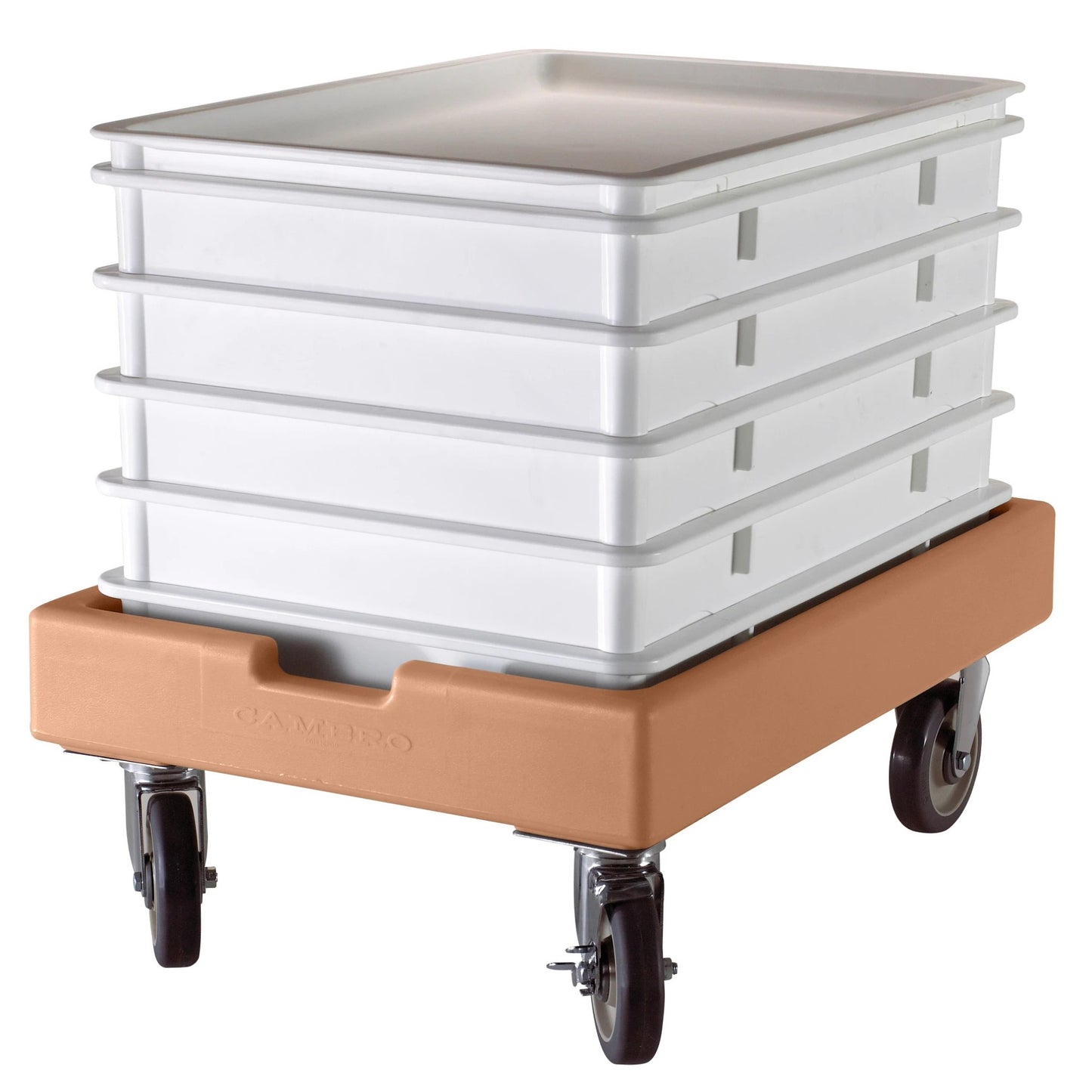 Cambro Pizza Dough Box, 18" X 26" X 3", White - DB18263CW148