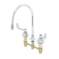 T&S Brass Medical Faucet Forged Brass NSF 8" Centers Gooseneck - B-2862