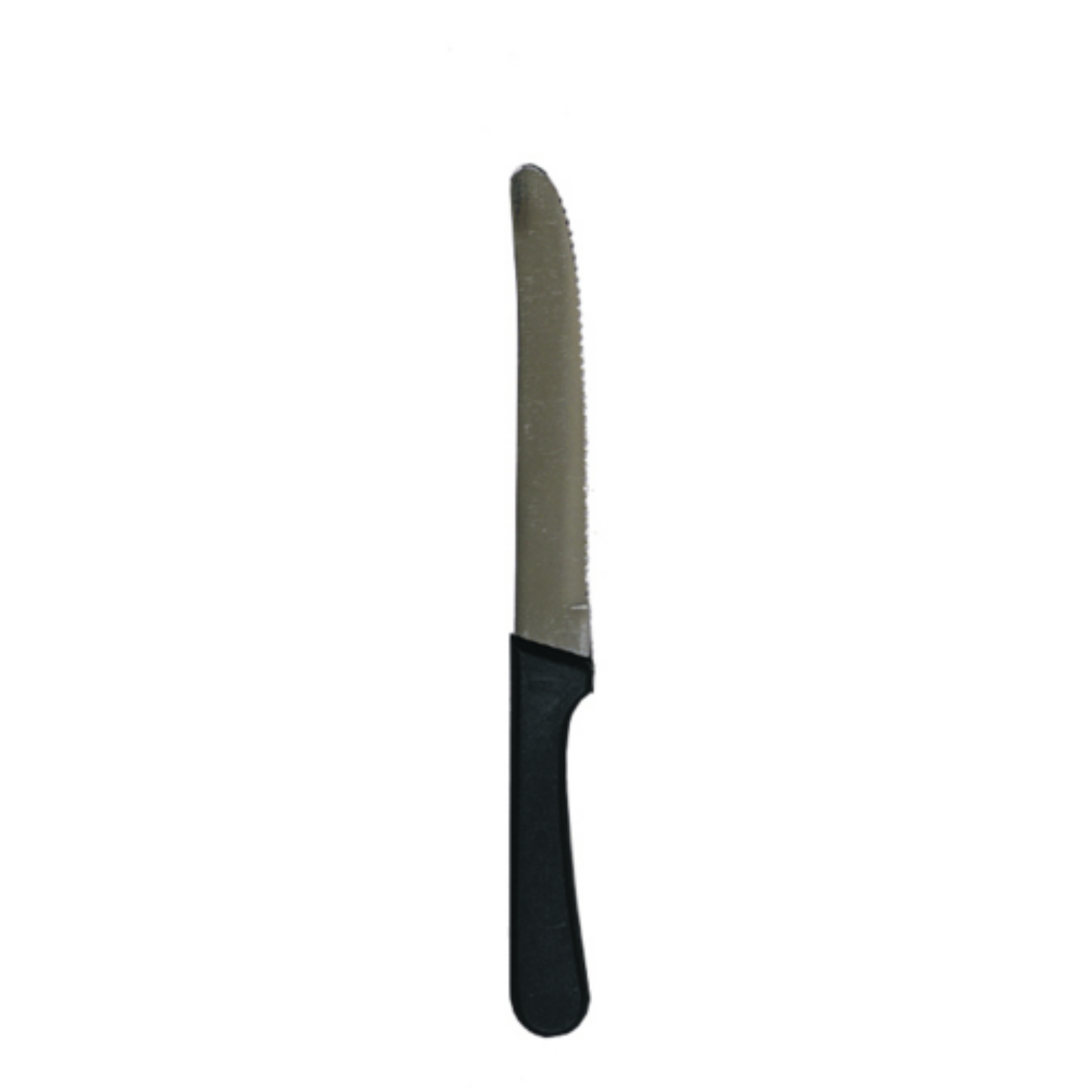 Steak Knife with Plastic Handle and Round Tip - SK-20P