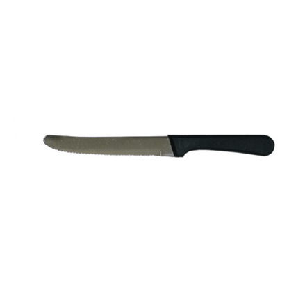 Steak Knife with Plastic Handle and Round Tip - SK-20P