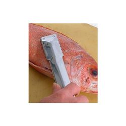 Descamador de pescado de ciudad - 48607